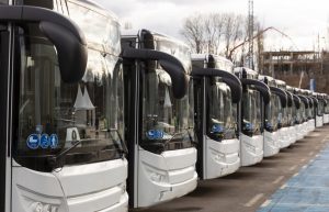 Mass Transient Buses